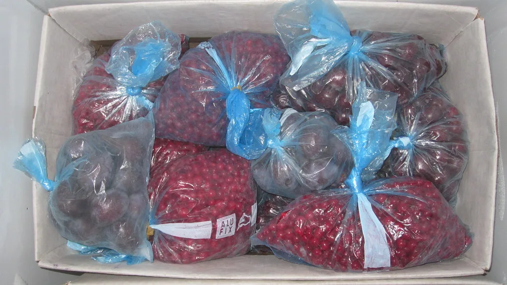 A chest freezer full of frozen foods