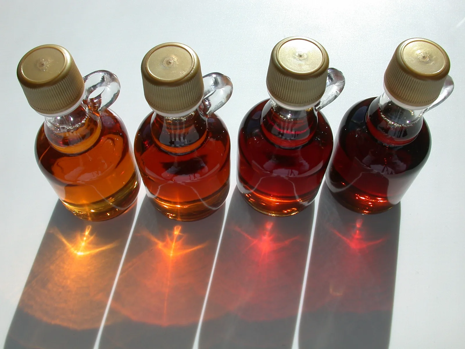 Four glass jugs of amber maple syrup glowing in sunlight